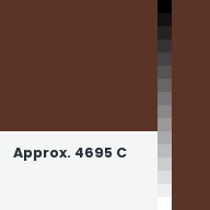 Color chip: Approx. 4695 C