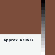 Color chip: Approx. 4705 C