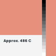 Color chip: Approx. 486 C
