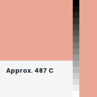 Color chip: Approx. 487 C