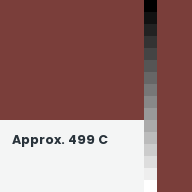 Color chip: Approx. 499 C