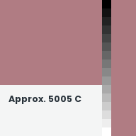 Color chip: Approx. 5005 C