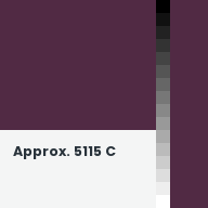 Color chip: Approx. 5115 C