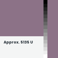 Color chip: Approx. 5135 U