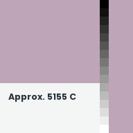Color chip: Approx. 5155 C