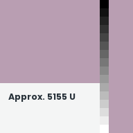 Color chip: Approx. 5155 U