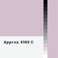 Color chip: Approx. 5165 C