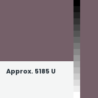 Color chip: Approx. 5185 U