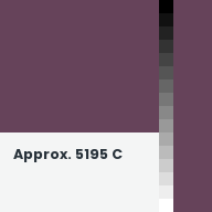 Color chip: Approx. 5195 C