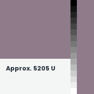 Color chip: Approx. 5205 U