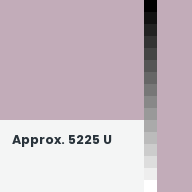 Color chip: Approx. 5225 U