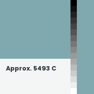 Color chip: Approx. 5493 C