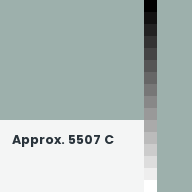 Color chip: Approx. 5507 C