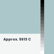 Color chip: Approx. 5513 C