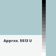 Color chip: Approx. 5513 U