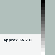 Color chip: Approx. 5517 C