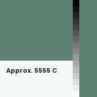 Color chip: Approx. 5555 C