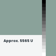 Color chip: Approx. 5565 U