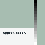 Color chip: Approx. 5585 C
