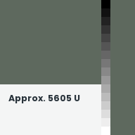 Color chip: Approx. 5605 U