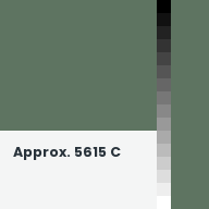 Color chip: Approx. 5615 C