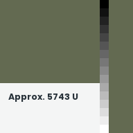 Color chip: Approx. 5743 U