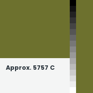 Color chip: Approx. 5757 C