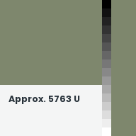 Color chip: Approx. 5763 U