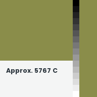 Color chip: Approx. 5767 C