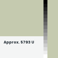 Color chip: Approx. 5793 U