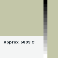 Color chip: Approx. 5803 C