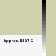 Color chip: Approx. 5807 C