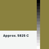 Color chip: Approx. 5825 C