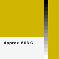 Color chip: Approx. 606 C
