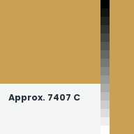 Color chip: Approx. 7407 C