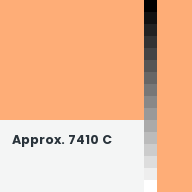 Color chip: Approx. 7410 C