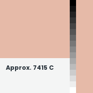 Color chip: Approx. 7415 C