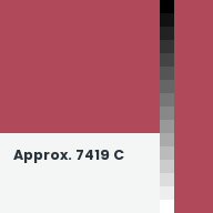 Color chip: Approx. 7419 C