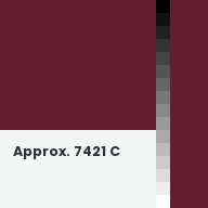 Color chip: Approx. 7421 C
