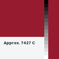 Color chip: Approx. 7427 C