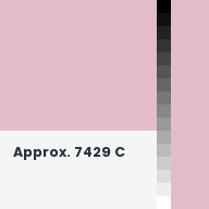 Color chip: Approx. 7429 C