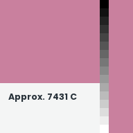Color chip: Approx. 7431 C