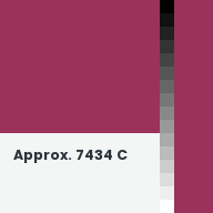 Color chip: Approx. 7434 C