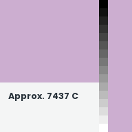 Color chip: Approx. 7437 C
