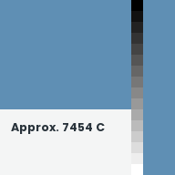 Color chip: Approx. 7454 C