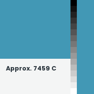 Color chip: Approx. 7459 C