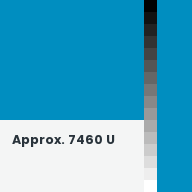 Color chip: Approx. 7460 U