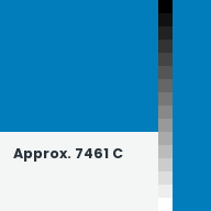 Color chip: Approx. 7461 C