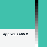 Color chip: Approx. 7465 C