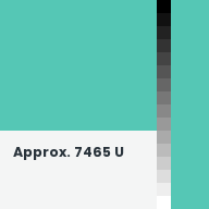 Color chip: Approx. 7465 U